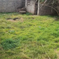 زمین مسکونی|فروش زمین و ملک کلنگی|زیباکنار, |دیوار