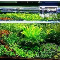 شیشه آکواریوم مستطیلی