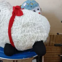 سلام چند عدد عروسک به فروش میرسد|اسباببازی|شاهینشهر, شهرک گلدیس|دیوار