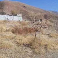 باغ بادرختان ده ساله