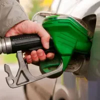 استخدام|استخدام خدمات فروشگاه و رستوران|خمام, |دیوار