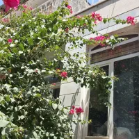 تجاری مسکونی