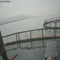 قفس پرورش ماهی دریای خزر|ماشینآلات صنعتی|تهران, حصار بوعلی|دیوار