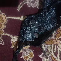 سنگ|کلکسیون و سرگرمی|تهران, جی|دیوار