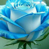 در خواست راهنمایی