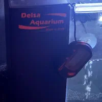 اکواریوم شرکتی