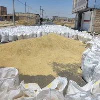 جومحلی موجودهست هرچندتن که بخوای