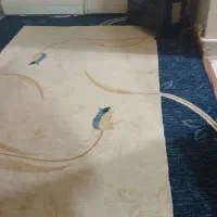 فرش مبل|فرش|فولادشهر, B1|دیوار