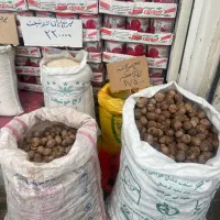 گردو تویسرکان