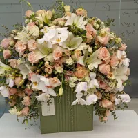 باکس گل