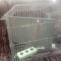 قفس پرنده وجا قابلمه وسینگ وروکش ماشین|لوازم جانبی حیوانات|خرمشهر, |دیوار