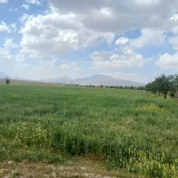 زمین-کشاورزی