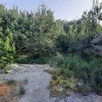 فروش باغچه ۴۰۴ متری در ملارد