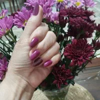 کاشت ناخن وترمیم با مواد آلمانی ویژه آذر ماه|خدمات آرایشگری و زیبایی|مرودشت, فاز دوم شهرک فرهنگیان|دیوار