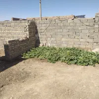 اجاره و فروش خانه در شهرک گلخانی