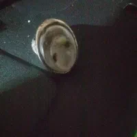 موهره وسنگ انگشتر