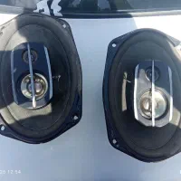 باند پایونر 6975