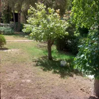 فروش خانه ویلایی ۱۰۰۰ متر۴ خواب در گلستان کیانمهر|فروش خانه و ویلا|کرج, کیانمهر|دیوار