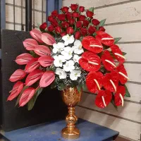 فروش گل طبیعی بصورت آنلاین|گل و گیاه طبیعی|تهران, صادقیه|دیوار