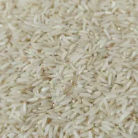 برنج هاشمی دره رود