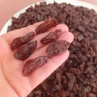 مویز درجه یک|خوردنی و آشامیدنی|شیراز, شهرک گلستان|دیوار