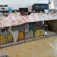 فروش دکه|فروش مغازه و غرفه|بندر گناوه, |دیوار