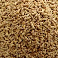 دان مرغ گوشتی