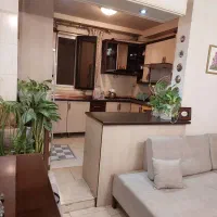 نیازمند نظافتچی خانم