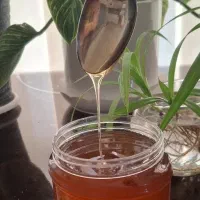 عسل درجه یک