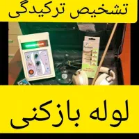 نشت یابی لوله بازکنی رفع نم رطوبت بوچکه(شیرازصدرا)