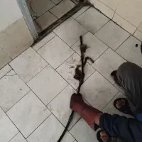 تخلیه چاه و لوله بازکنی|خدمات پیشه و مهارت|بم, |دیوار