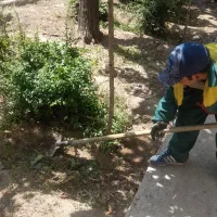 باغ بانی و تامین نگهداری|خدمات باغبانی و درختکاری|تهران, سبلان (لشگر)|دیوار