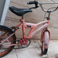 دوچرخه|دوچرخه، اسکیت، اسکوتر|قم, انسجام|دیوار