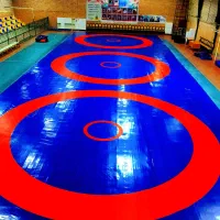 نصب و تعمیر تشک و ضربه گیر