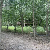 آرامش در دل طبیعت|فروش خانه و ویلا|آذرشهر, |دیوار