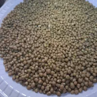 کود دی امونیوم فسفات،سولفات پتاسیم،سوپر فسفات تریپ|خدمات باغبانی و درختکاری|شهریار, شهریار|دیوار