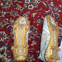 کفشچمنقیمت100000