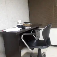منشی خانم مجرد متعهد به کار