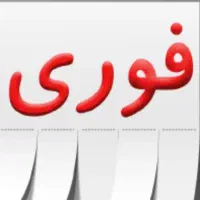 استخدام نیرو کار