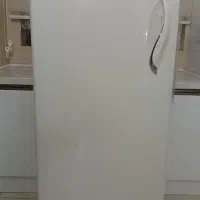 فریزر امرسان سالم