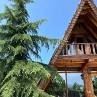 اجاره کلبه سویسی استخر روباز آبگرم چهارفصل|اجارهٔ کوتاه‌مدت ویلا و باغ|آمل, |دیوار