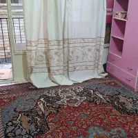 همخانه هم خونه همخونه آقا|اجارهٔ آپارتمان|تهران, دانشگاه شریف|دیوار