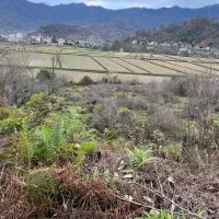 زمین ۱۰۷۰متر سنددار گیلان فومن صومعه سرا تنیان