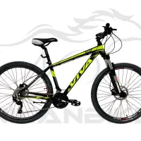 دوچرخه حرفه ای ویوا