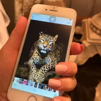 گوشی  آیفون )اپل) ۶۴ اصل آمریکا lla|موبایل|تهران, شهرک نفت|دیوار