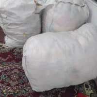 عروسک عمده|اسباب‌بازی بچه|شیراز, احمدآباد|دیوار