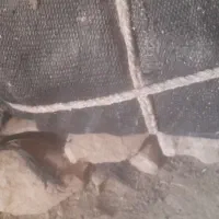 سیاه چادر|کوهنوردی و کمپینگ|کوهدشت, |دیوار