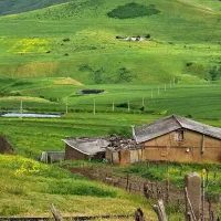 اجاره آپارتمان