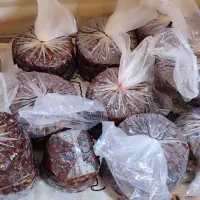 خرما شیره|خوردنی و آشامیدنی|منوجان, |دیوار