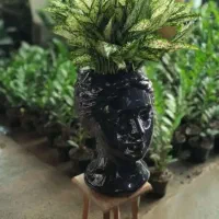 فروش گل گیاه نهال|گل و گیاه طبیعی|محمدیه-قزوین, |دیوار